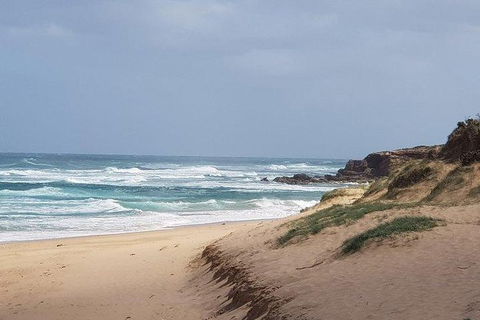Phillip Island Penguin And Wildlife Tour - Kalgoorlie Accommodation 10