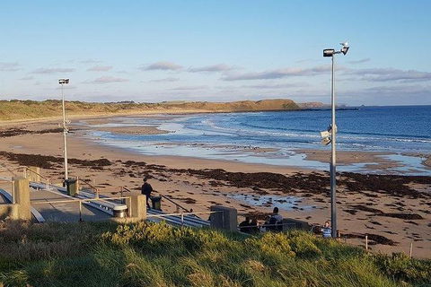 Phillip Island Penguin And Wildlife Tour - Kalgoorlie Accommodation 8