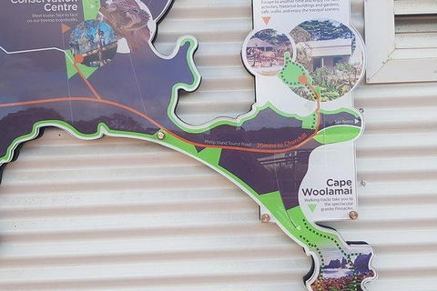 Phillip Island Penguin And Wildlife Tour - Kalgoorlie Accommodation 29