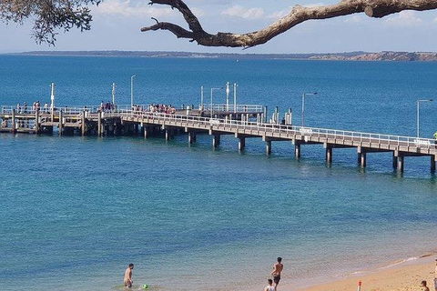 Phillip Island Penguin And Wildlife Tour - Kalgoorlie Accommodation 2