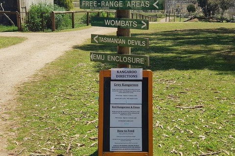 Phillip Island Penguin And Wildlife Tour - Kalgoorlie Accommodation 4