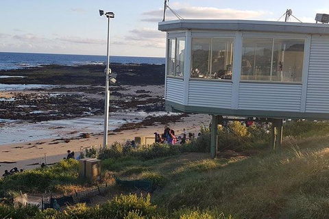 Phillip Island Penguin And Wildlife Tour - Kalgoorlie Accommodation 33
