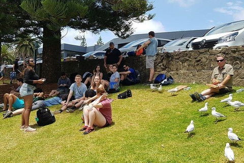 Phillip Island Penguin And Wildlife Tour - Kalgoorlie Accommodation 22