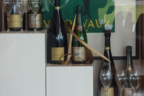 Yarra Valley Wine Tasting Day Tour From Melbourne - Kalgoorlie Accommodation 2