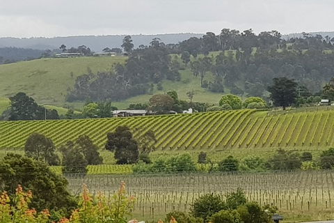 Yarra Valley Wine Tasting Day Tour From Melbourne - Kalgoorlie Accommodation 0