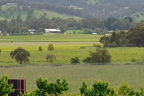Yarra Valley Wineries And Rayners Orchard Tour From Melbourne - Kalgoorlie Accommodation 2