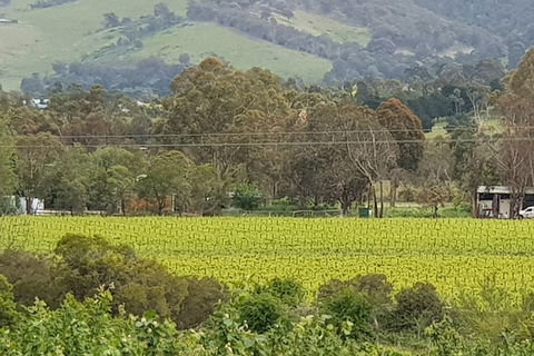 Day Tour Of Yarra Valley Puffing Billy And Rayners Orchard - Kalgoorlie Accommodation 44