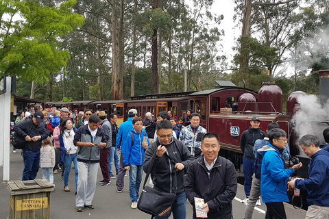 Day Tour Of Yarra Valley Puffing Billy And Rayners Orchard - Kalgoorlie Accommodation 3