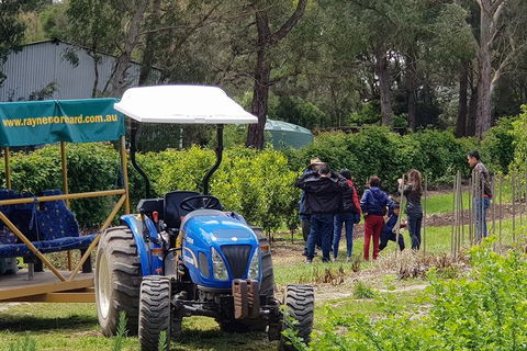 Day Tour Of Yarra Valley Puffing Billy And Rayners Orchard - Kalgoorlie Accommodation 10