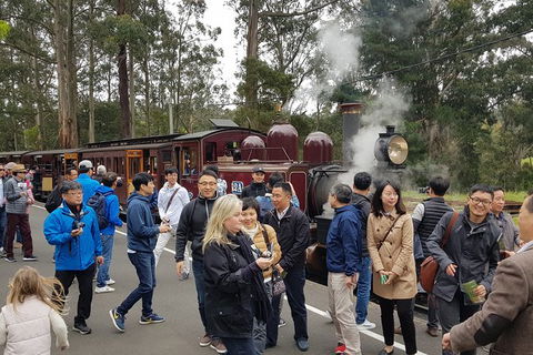 Day Tour Of Yarra Valley Puffing Billy And Rayners Orchard - Kalgoorlie Accommodation 18