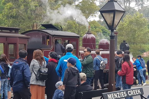 Day Tour Of Yarra Valley Puffing Billy And Rayners Orchard - Kalgoorlie Accommodation 40