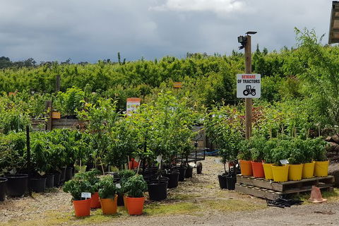Day Tour Of Yarra Valley Puffing Billy And Rayners Orchard - Kalgoorlie Accommodation 46