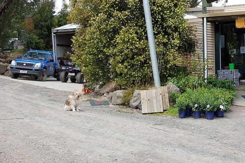 Day Tour Of Yarra Valley Puffing Billy And Rayners Orchard - Kalgoorlie Accommodation 6
