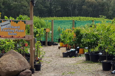 Day Tour Of Yarra Valley Puffing Billy And Rayners Orchard - Kalgoorlie Accommodation 22