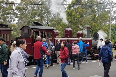Day Tour Of Yarra Valley Puffing Billy And Rayners Orchard - Kalgoorlie Accommodation 4