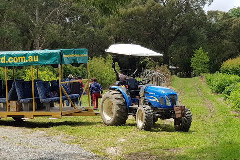 Day Tour Of Yarra Valley Puffing Billy And Rayners Orchard - Kalgoorlie Accommodation 25