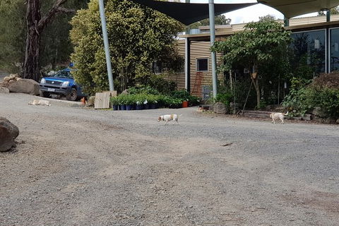 Day Tour Of Yarra Valley Puffing Billy And Rayners Orchard - Kalgoorlie Accommodation 26