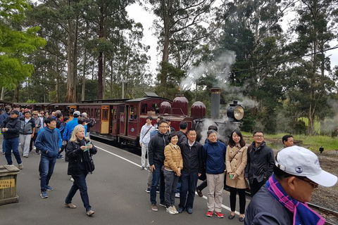 Day Tour Of Yarra Valley Puffing Billy And Rayners Orchard - Kalgoorlie Accommodation 9