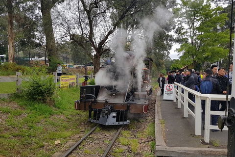 Day Tour Of Yarra Valley Puffing Billy And Rayners Orchard - Kalgoorlie Accommodation 43