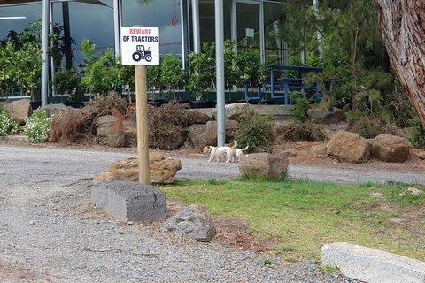 Day Tour Of Yarra Valley Puffing Billy And Rayners Orchard - Kalgoorlie Accommodation 2