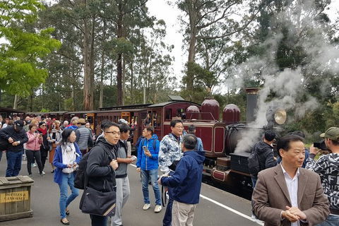 Day Tour Of Yarra Valley Puffing Billy And Rayners Orchard - Kalgoorlie Accommodation 12