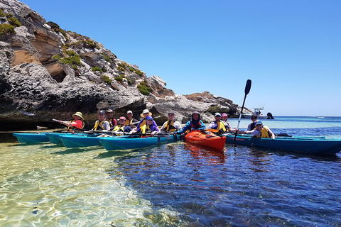 Rottnest Glass Bottom Kayaking Tour - Kalgoorlie Accommodation 0