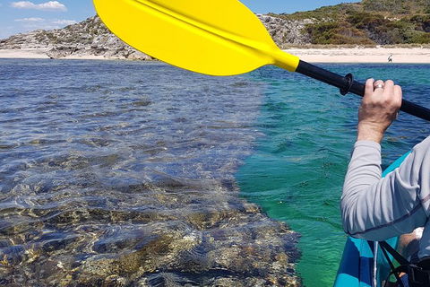 Rottnest Glass Bottom Kayaking Tour - Kalgoorlie Accommodation 3