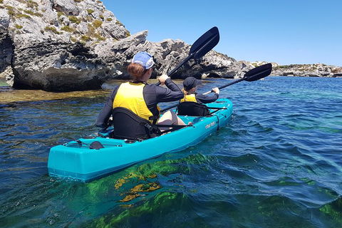 Rottnest Glass Bottom Kayaking Tour - Kalgoorlie Accommodation 4