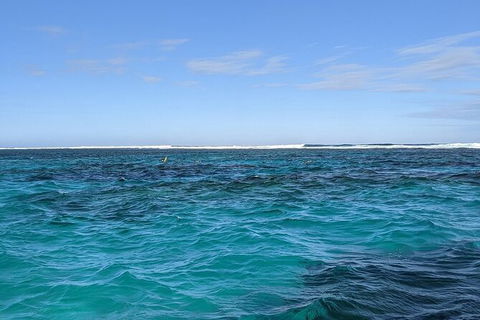 Marine Eco Safari - Swim With Manta Rays - Kalgoorlie Accommodation 2
