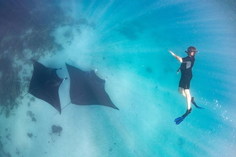 Marine Eco Safari - Swim With Manta Rays - Kalgoorlie Accommodation 1