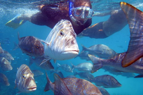 Coral Bay 2-Hour Coral Viewing And Snorkeling - Kalgoorlie Accommodation 0