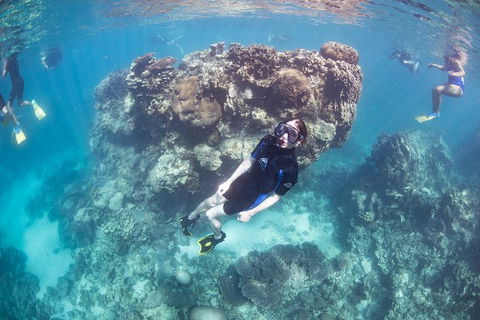Coral Bay 2-Hour Coral Viewing And Snorkeling - Kalgoorlie Accommodation 3