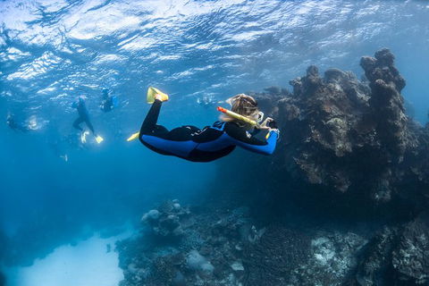 Ningaloo Adventure And Manta Ray Tour - Kalgoorlie Accommodation 6