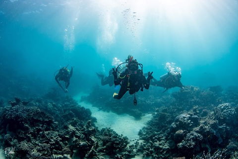Ningaloo Adventure And Manta Ray Tour - Kalgoorlie Accommodation 4