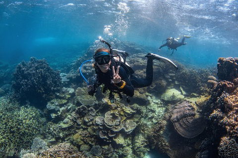 Ningaloo Adventure And Manta Ray Tour - Kalgoorlie Accommodation 0