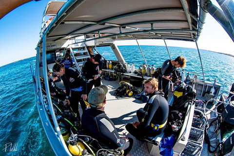 Ningaloo Adventure And Manta Ray Tour - Kalgoorlie Accommodation 8