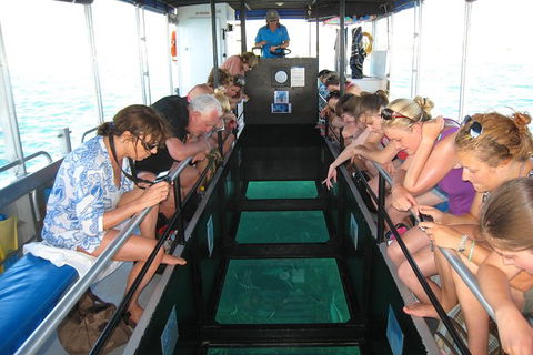 Coral Bay 1-Hour Coral Viewing - Kalgoorlie Accommodation 3
