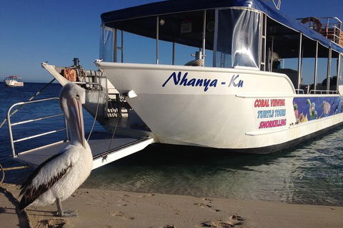 Coral Bay 1-Hour Coral Viewing - Kalgoorlie Accommodation 0