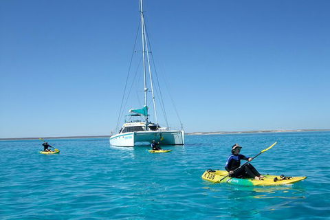 5 Night Ningaloo Reef Ningaloo Escape From Coral Bay - Kalgoorlie Accommodation 0