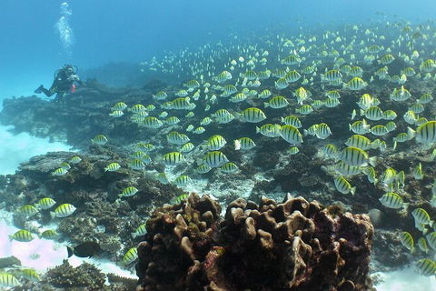 5 Night Ningaloo Reef Ningaloo Escape From Coral Bay - Kalgoorlie Accommodation 5