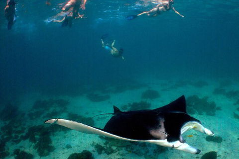 5 Night Ningaloo Reef Ningaloo Escape From Coral Bay - Kalgoorlie Accommodation 1