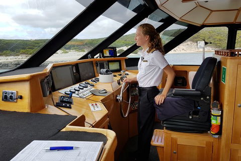 Full-Day Killer Whale Expedition From Albany - Kalgoorlie Accommodation 4