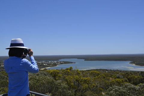 Full-Day Killer Whale Expedition From Albany - Kalgoorlie Accommodation 5