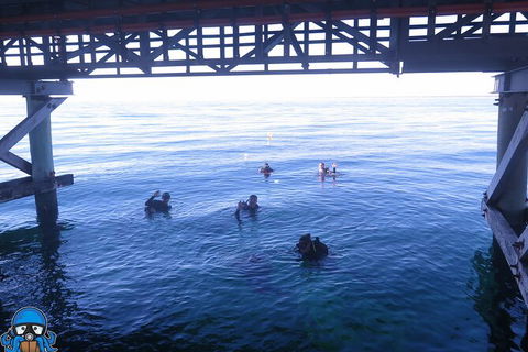 PADI Open Water Course - Kalgoorlie Accommodation 3