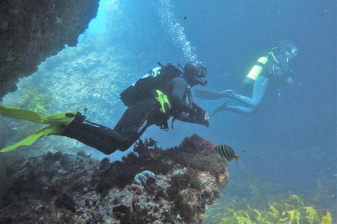 PADI Open Water Course - Kalgoorlie Accommodation 2