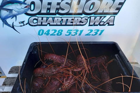 Lobster Fishing Tour At Geraldton - Kalgoorlie Accommodation 0