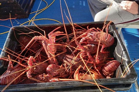 Lobster Fishing Tour At Geraldton - Kalgoorlie Accommodation 6