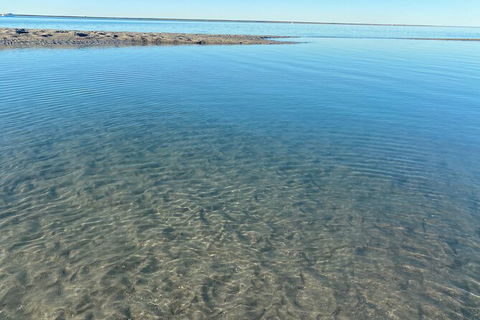 The Island Sandbar Experience - Kalgoorlie Accommodation 4
