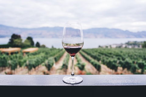 Full-Day Gourmet Wine Tour With Pick Up And Lunch - Kalgoorlie Accommodation 1