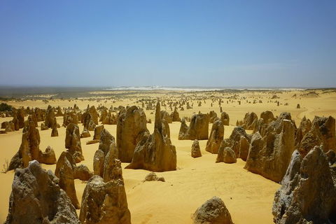 Pinnacles Desert Private Tour - Kalgoorlie Accommodation 5